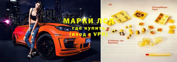 сатива Аркадак