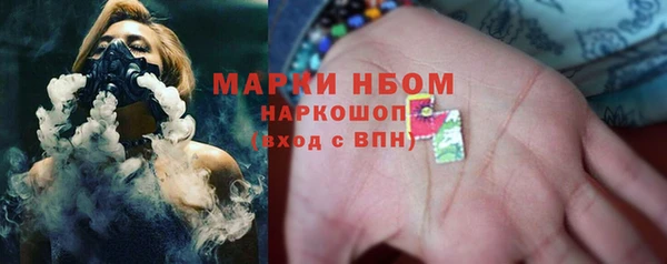 сатива Аркадак