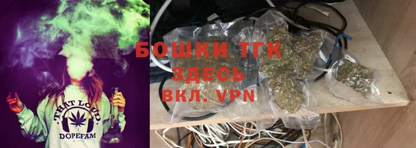 меф Арсеньев