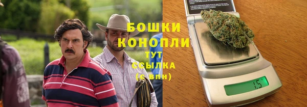 сатива Аркадак