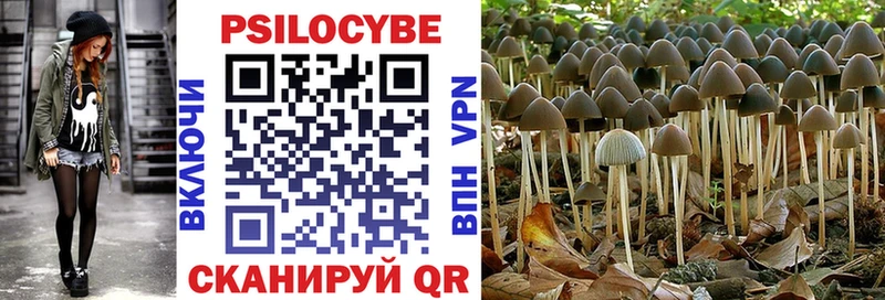 Галлюциногенные грибы мицелий  Злынка 